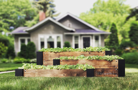 Save 30% on our 3-Tier Planter Kits!