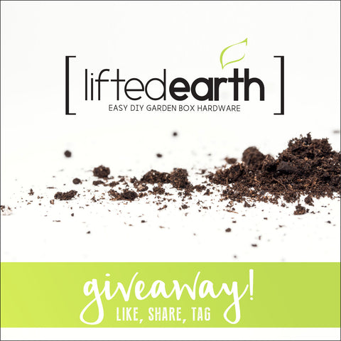 Facebook Giveaway!